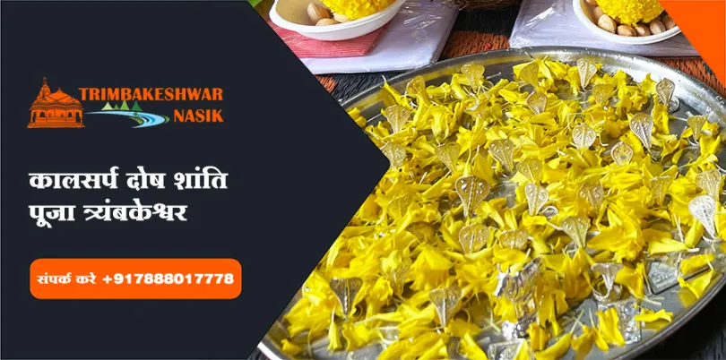 कालसर्प दोष शांति पूजा त्र्यंबकेश्वर
